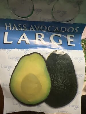Hass Avocado Large