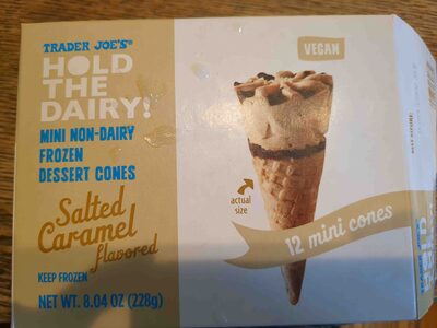 Hold The Dairy! Mini Frozen Dessert Cones Salted Caramel