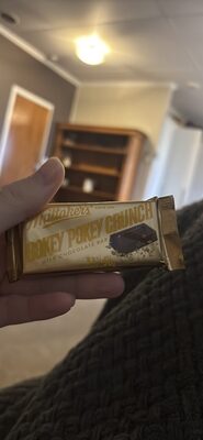 Honey Pokey Crunch Milk Chocolate Bar