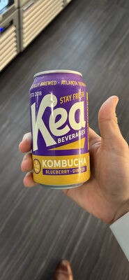 Kombucha Blueberry Ginger