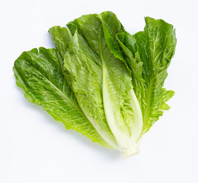 Kroger, fresh selections, leafy romaine, romaine lettuce & leaf lettuces