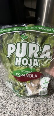 Lechuga Española