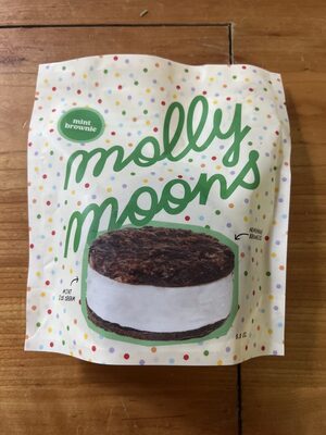 Mint Brownie Ice Cream Sandwich