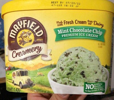 Mint Chocolate Chip