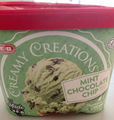 Mint chocolate chip creamy creation
