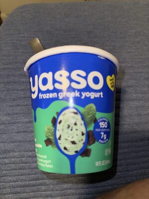 Mint Chocolate Chip Frozen Greek Yogurt