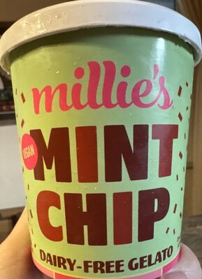 Mint Chocolate Chip Ice Cream