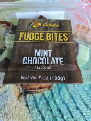 Mint Chocolate Fudge Bites
