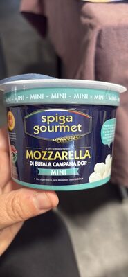 MOZZARELLA DI BUFALA CAMPANA DOP MINI