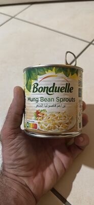 Mung Bean Sprouts