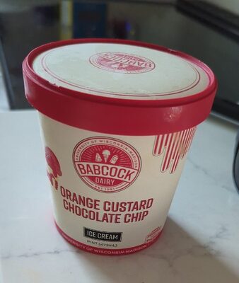 Orange Custard Chocolate Chip