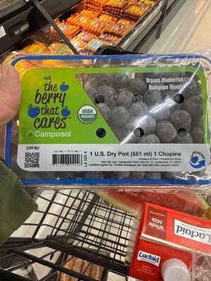 Organic Blueberries