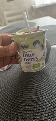 Organic Blueberry yogurt