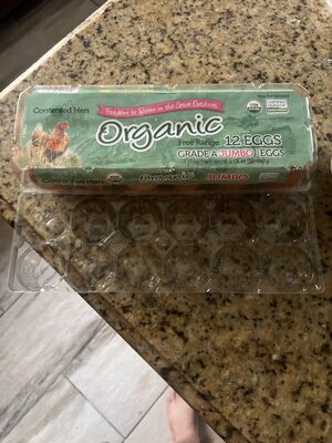 Organic Free Range 12 Eggs Grade A Jumbo Eggs