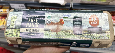 Organic Free Range Large Brown
