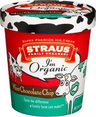 Organic Mint Chocolate Chip Ice Cream