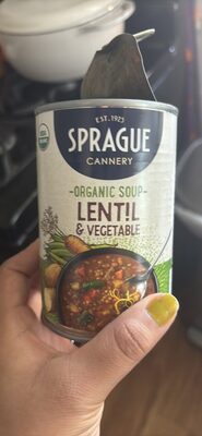 Organic Soup Lentil & Vegetable