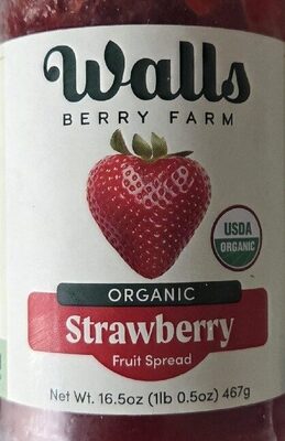 Organic Strawberry Fruit Spread