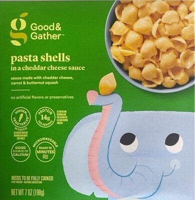 Pasta Shells in cheddar cheese sauce