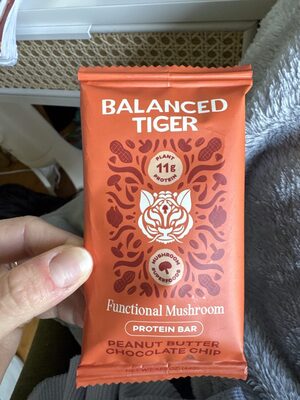 Peanut Butter Chocolate Chip Protein Bar