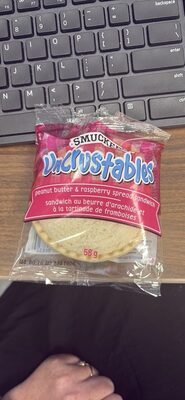 peanut butter & raspberry spread sandwich