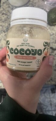 Raw Coconut Yogurt