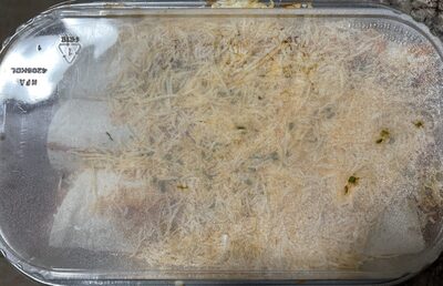 Rotisserie Chicken Enchiladas