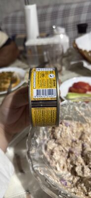 Süzdürülmüş ton balığı