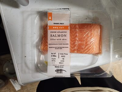 Salmon