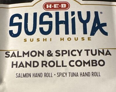 Salmon & Spicy Tuna Hand rolls