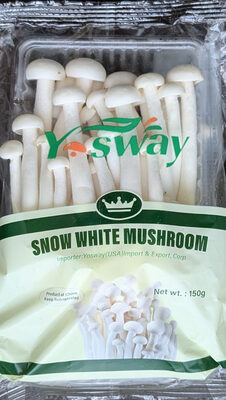 Snow White Mushroom