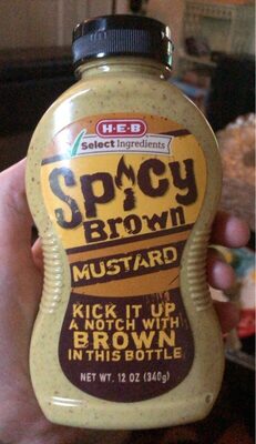 Spicy Brown Mustard