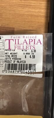 Tilapia Fillets