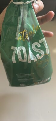 Toast integralni