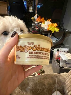 Totally Cheesy Cheese Spread