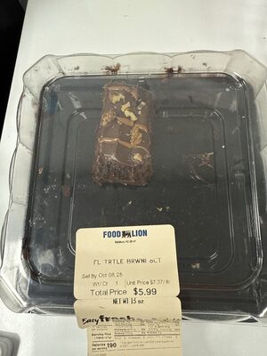 Turtle Brownie