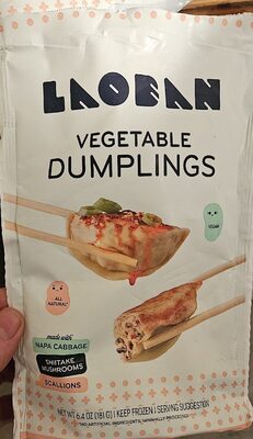 Vegetable Dumplings