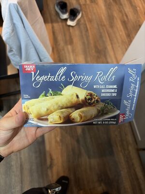 Vegetable Spring Rolls