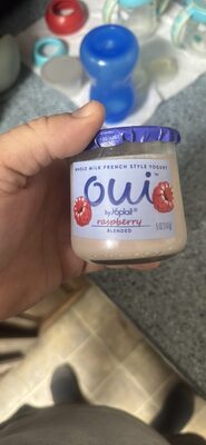 Whole Milk French Style Yogurt raspberry blended