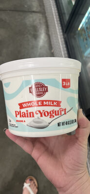 Whole Milk Plain Yogurt