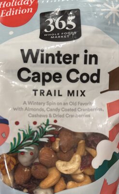 Winter in Cape Cod