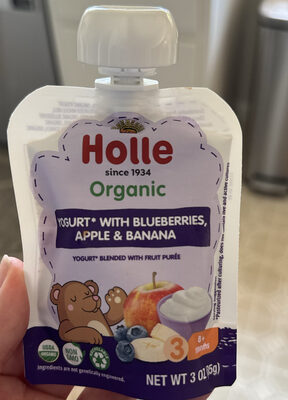 YOGURT* WITH BLUEBERRIES, APPLE & BANANA